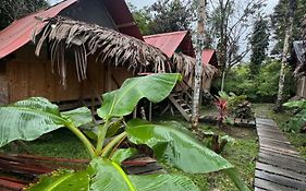 Surf House Estilo Libre